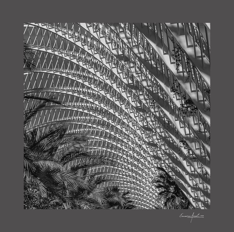Foto de Encarna Arnal Moreno, en la exposición virtual de la web de AGFOVAL