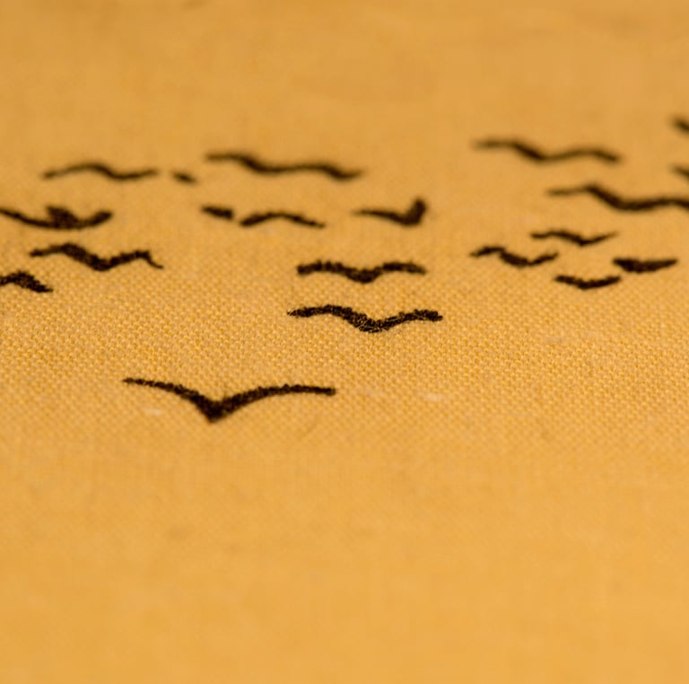 bird flying free