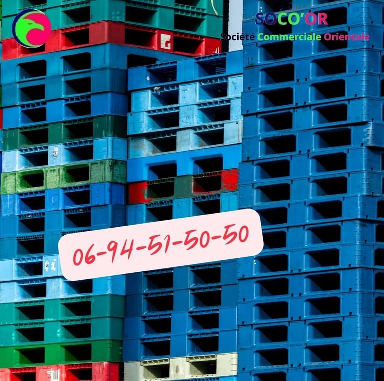 palette maroc prix