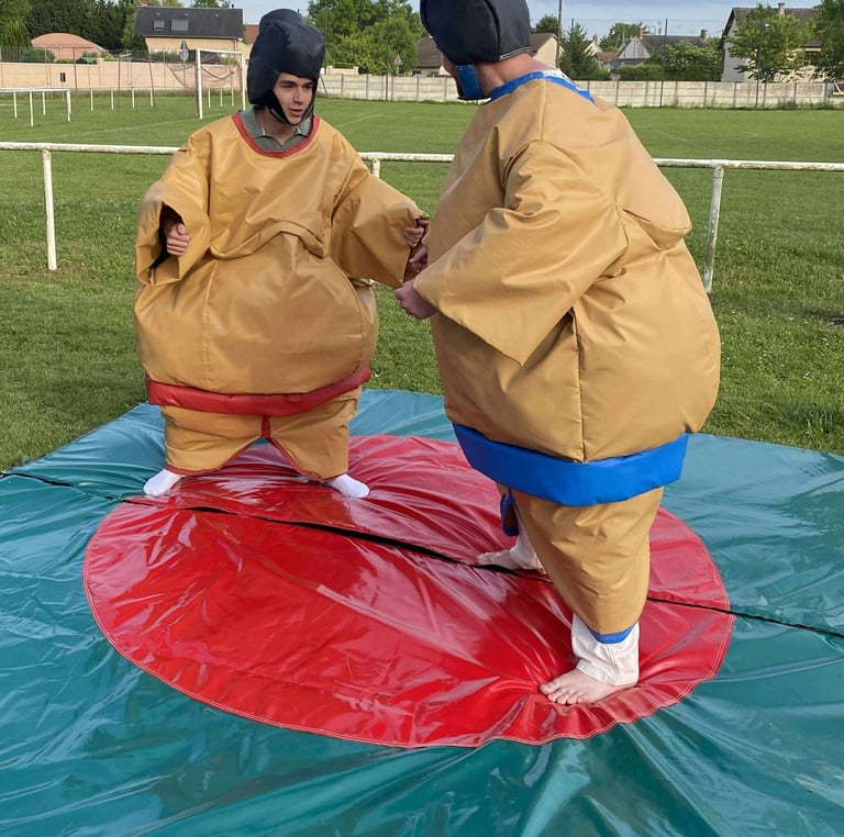 Jeu de Sumos adultes
