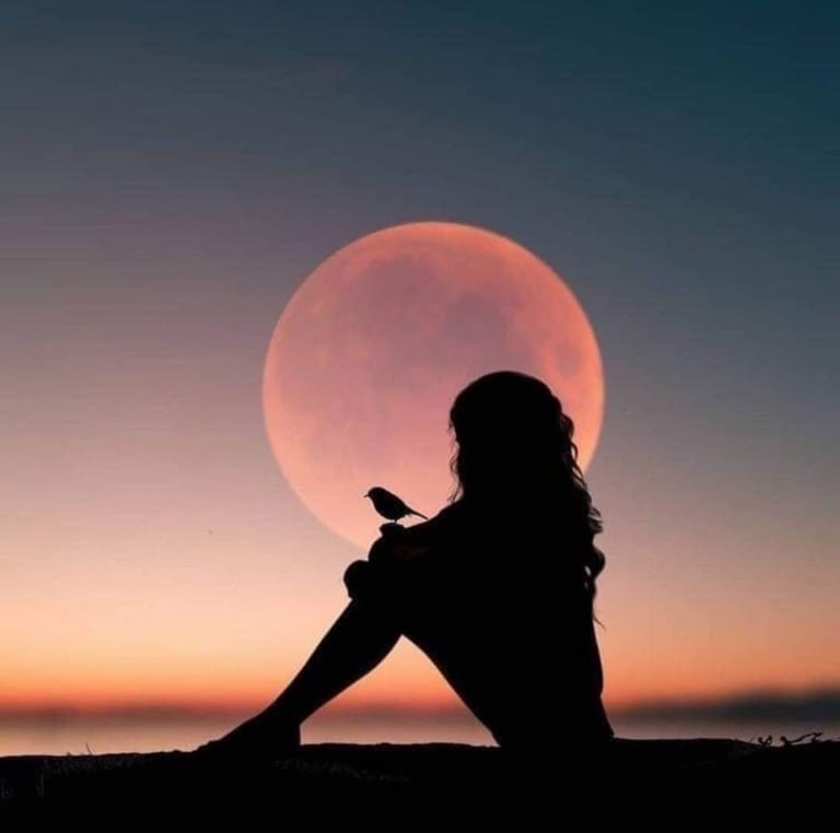 femme assise avec un oiseau devant la lune qui accompagne son voyage intérieur