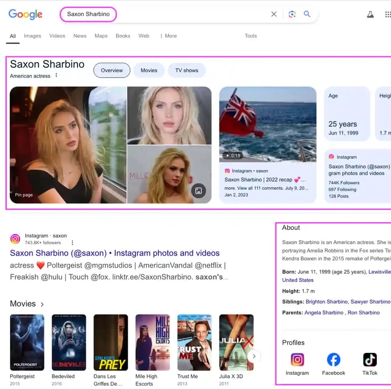 a photo about individual google knowledge panel