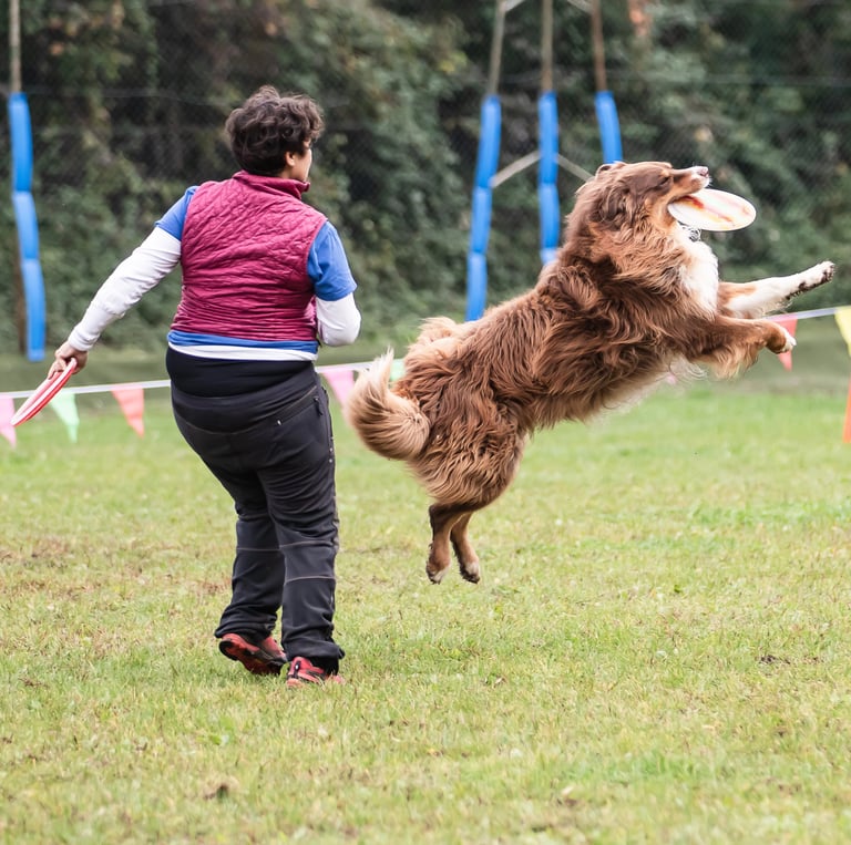 eleducane_disc_dog_sport_divertimento_addestratrice_cinofila
