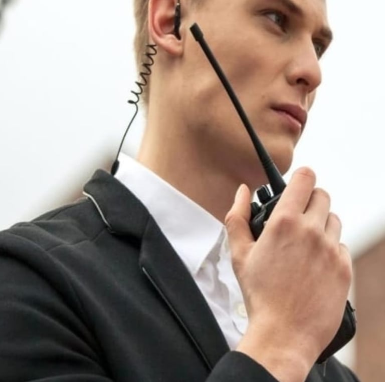 agent service sécurité rennes Bretagne recrutement agent ahtu de gamme premium seyf securité