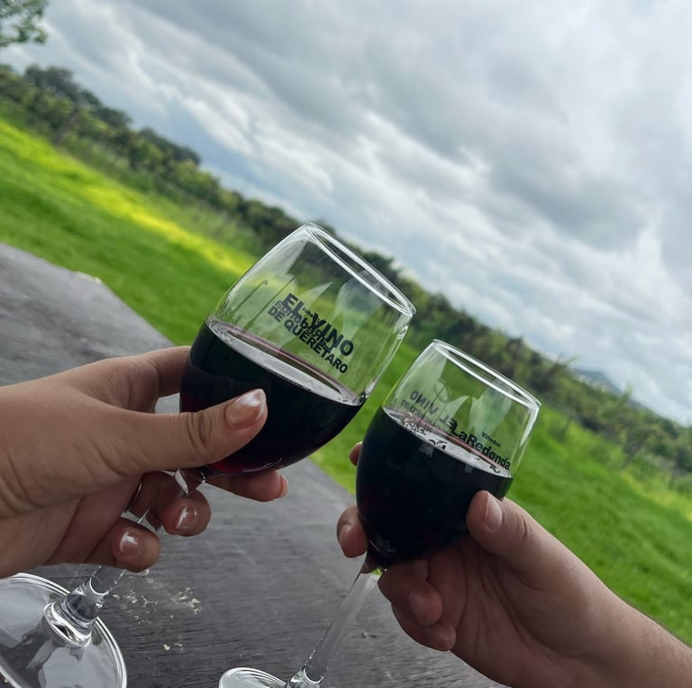 Copas de vino brindando en viñedo de Querétaro durante tour enológico