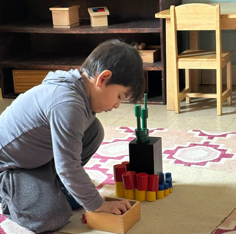 Montessori Blocks