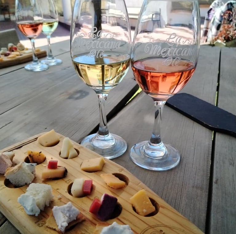 Copas de vino y tabla de quesos en experiencia enológica en Querétaro