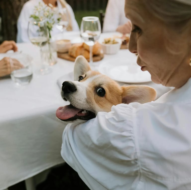 Chien épanoui dans les bras de sa maîtresse lors d'un repas de famille dans le jardin.