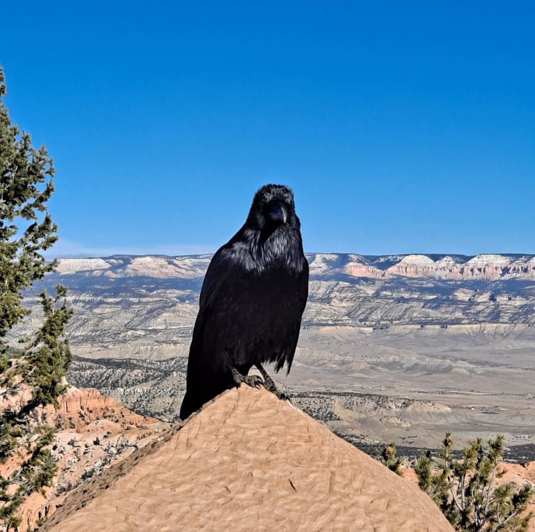 Finn's Footprints Utah Budget Travel Review
