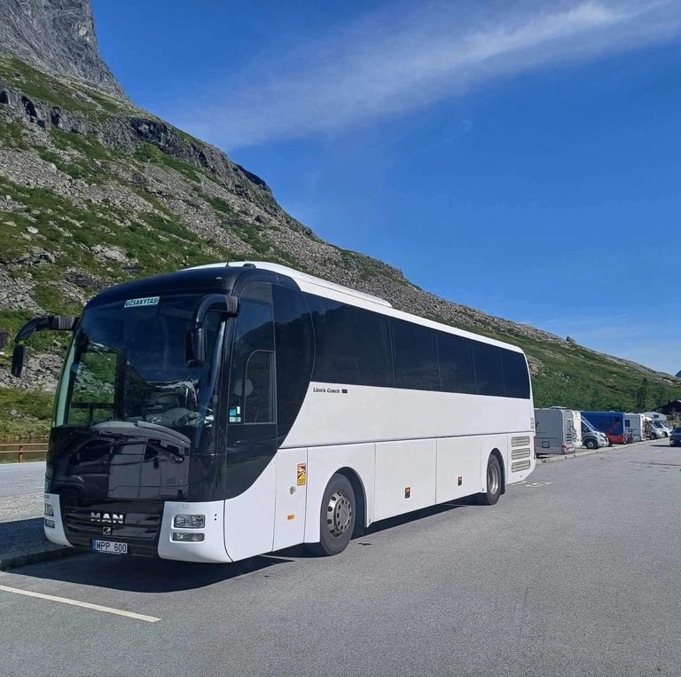 Autobuso nuoma Alytuje