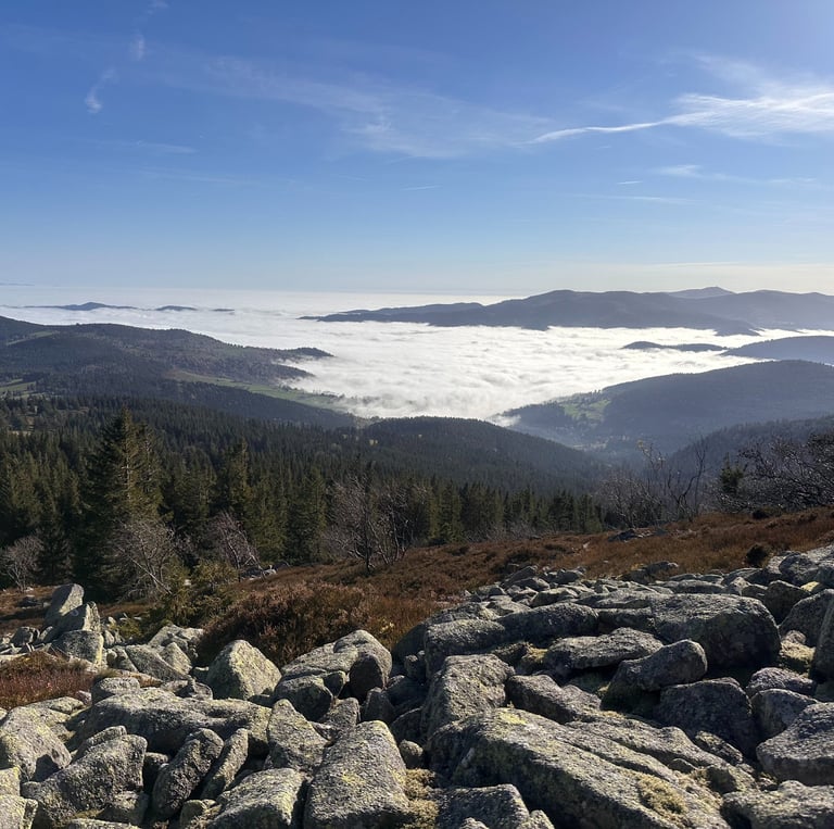 mer de nuages éboulis granitique au dessus de la vallée de Munster épicéa sorbier 