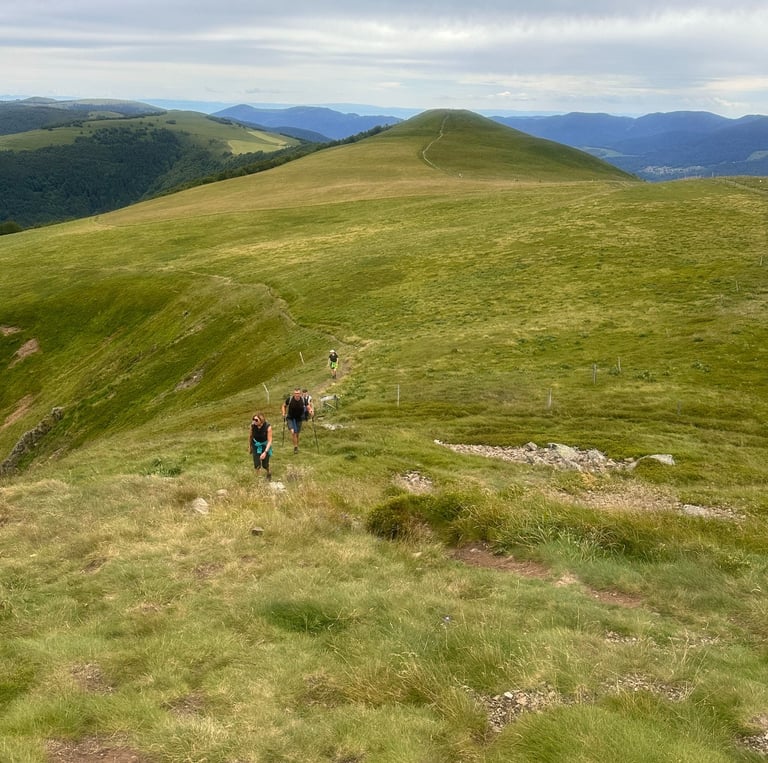 sentier sur les crêtes au milieu des pâturages sur les chaumes vosgiennes avec des randonneurs en ete 