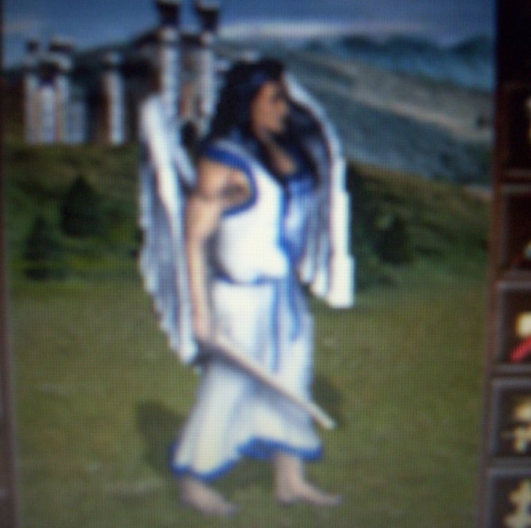 Essa e a foto de um Arancjo eu penso