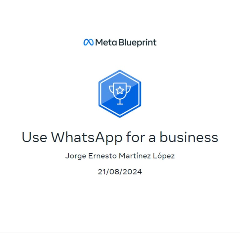 whatsapp business