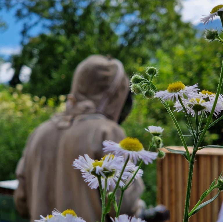 apiculteur travaille sur sa ruche. parrainage de ruches
