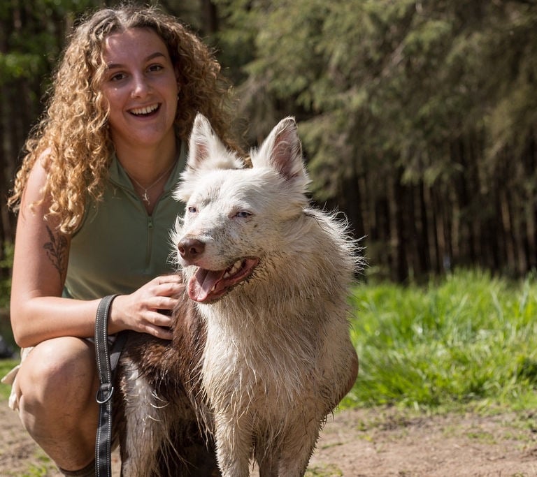 Maiya, a dog walker in harrogate, dog walking dogs in harrogate