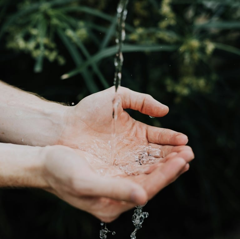 a person holding a hand held out to a hand