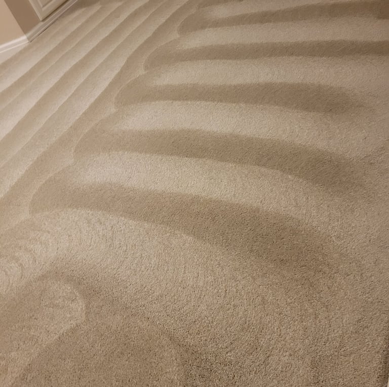 Beautiful Clean Carpet Results With King Organic Clean