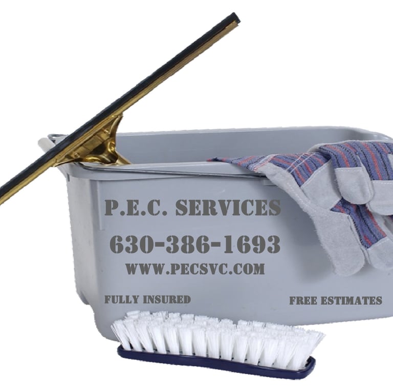 a cleaning brush and window cleaning squeegee in a bucket