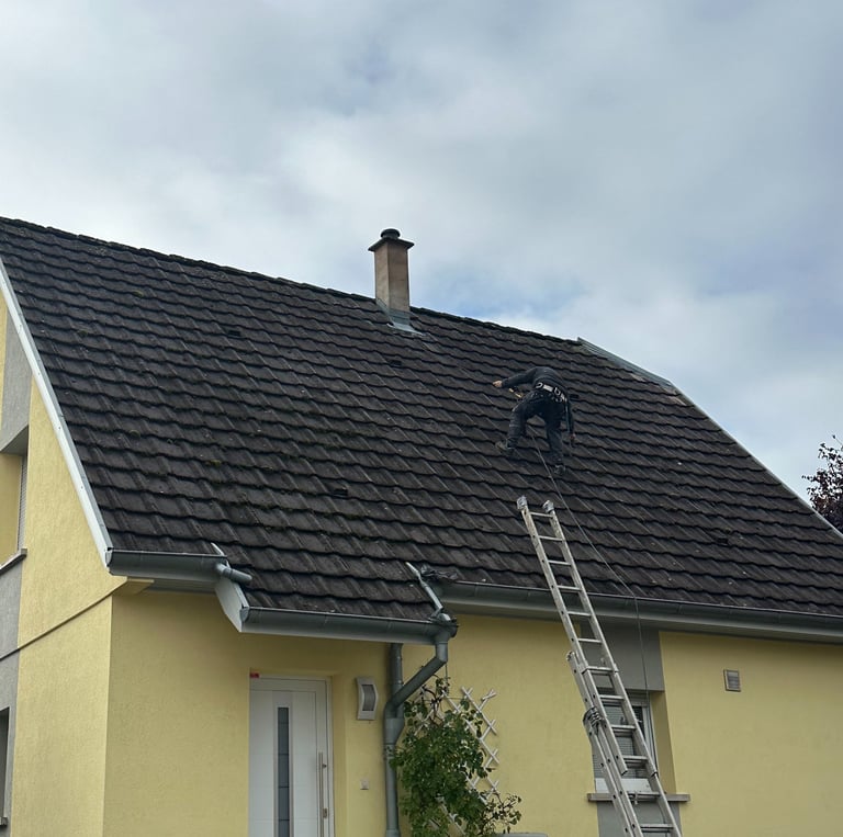 demoussage de toiture