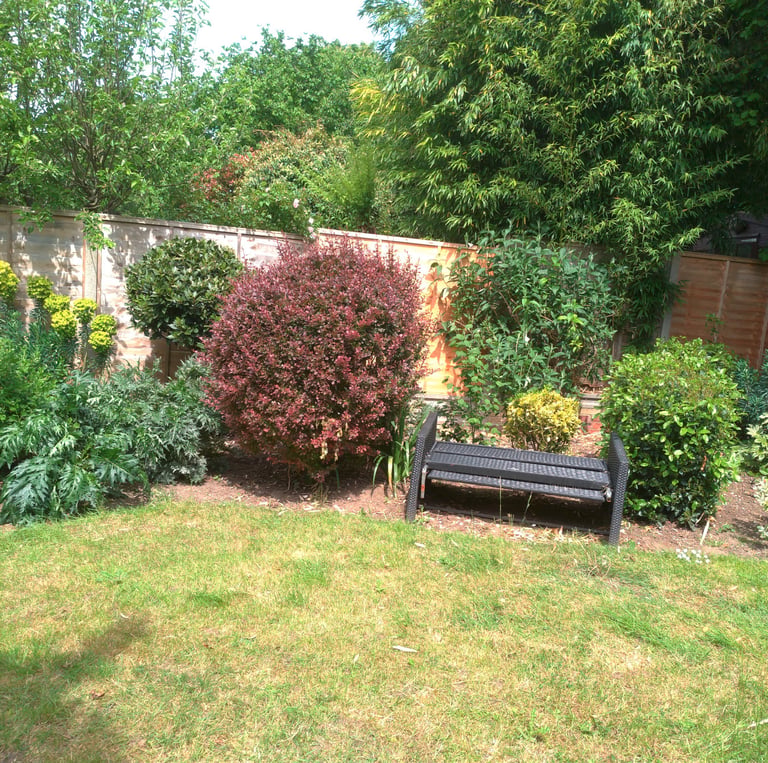Backyard garden landscaping with a black wicker bench, green lawn, and lush shrubs by a fence.