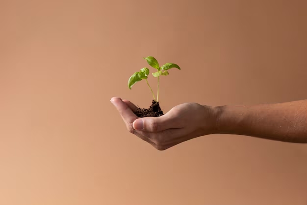 a person holding a plant in their hands
