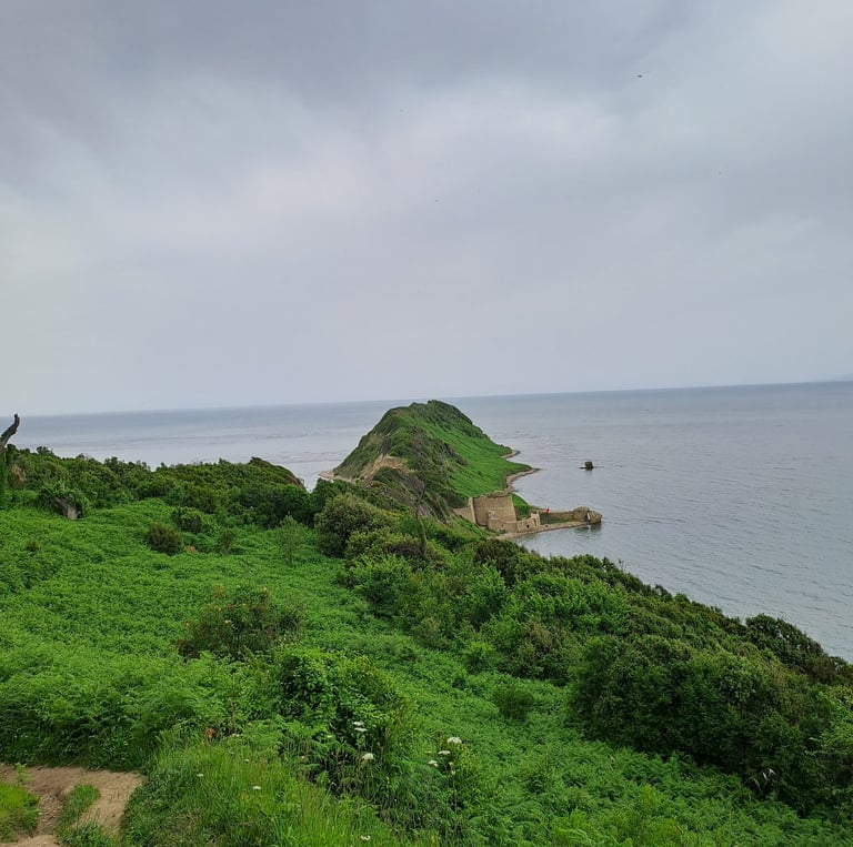 Path to The Cape of Rodon