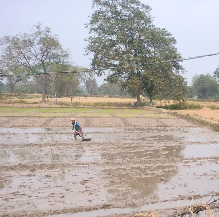 a man working on the field