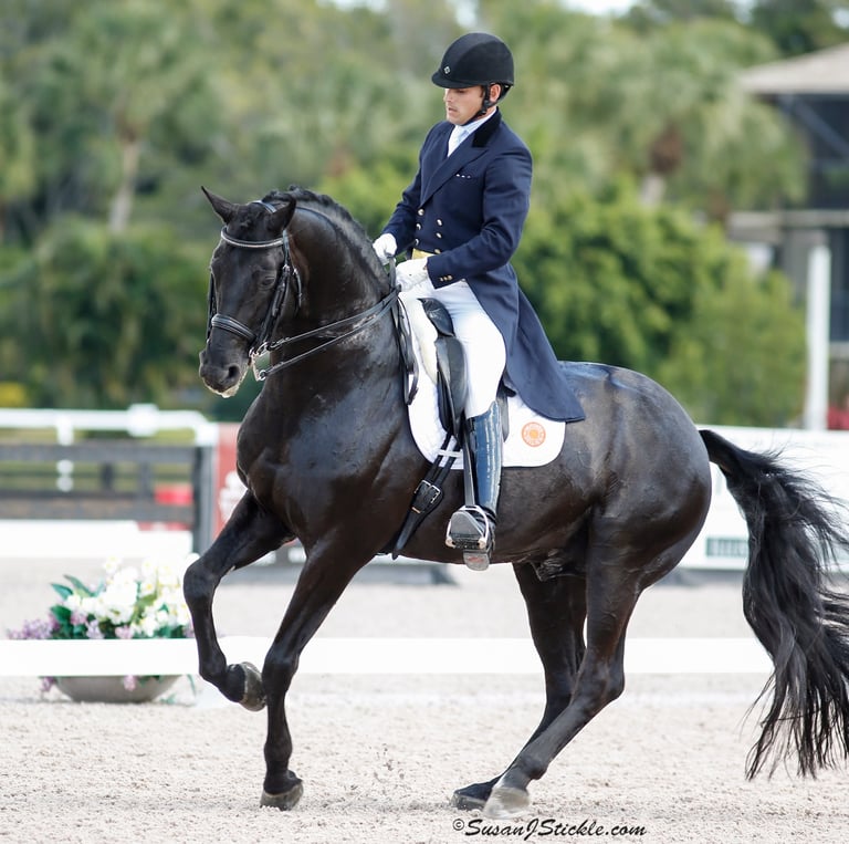 Rick Silvia with Rubinero (Oldenburg Stallion)