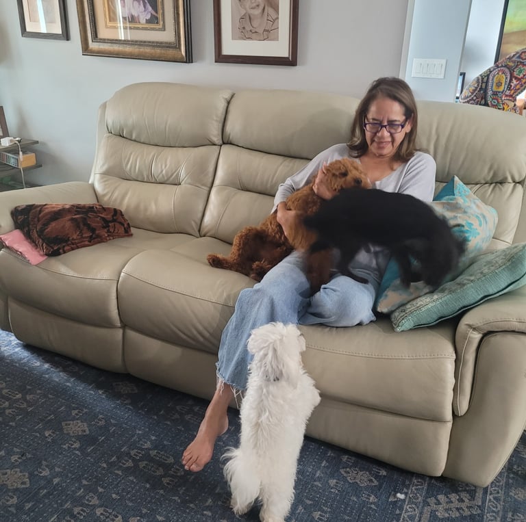 Roberts wife spending time with 3 dogs during daycare