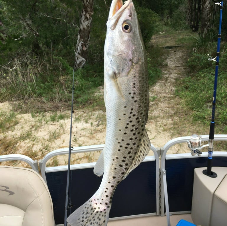 a fish caught in a fishing boat