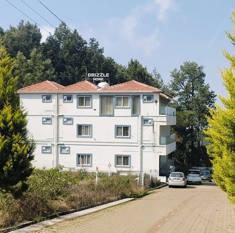 Bird's eye view of Drizzle Home