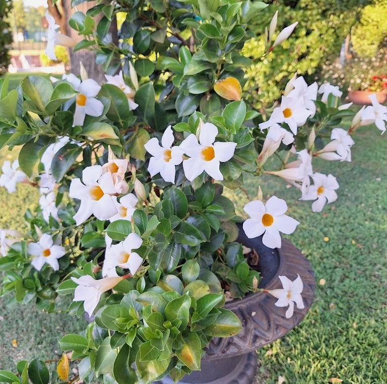a bunch of flowers in a garden planter