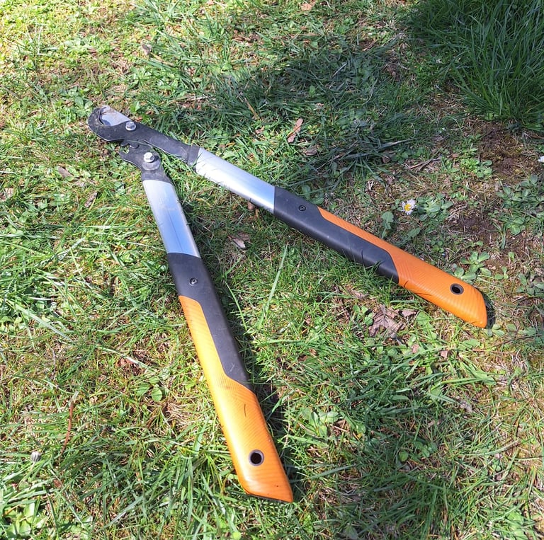 the pruning saw we used for digging up shrubs