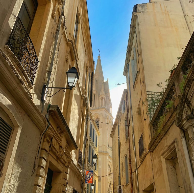 SEMINAIRE MONTPELLIER OLEIS TRAVEL