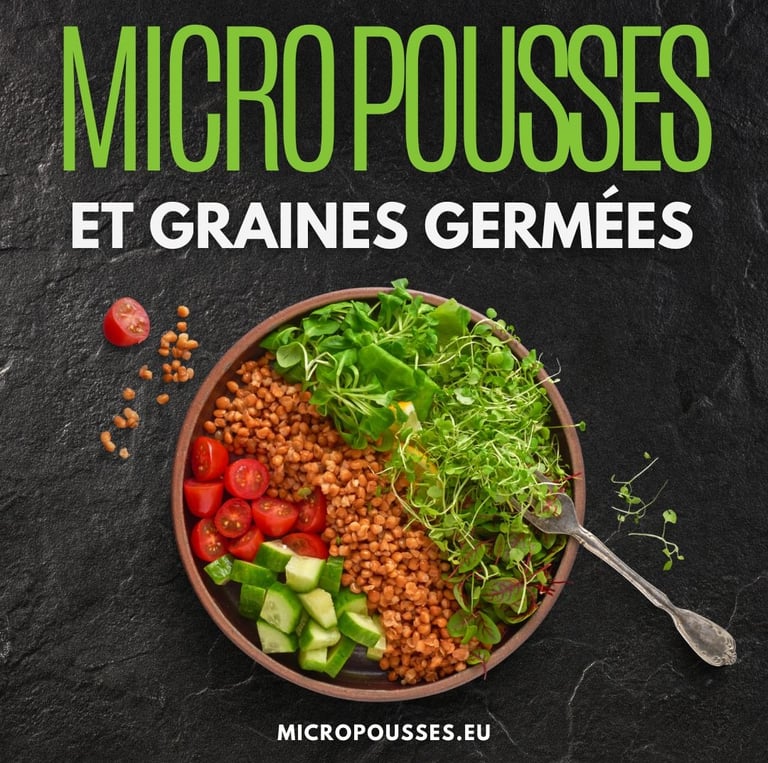 micro pousses et graines germées
