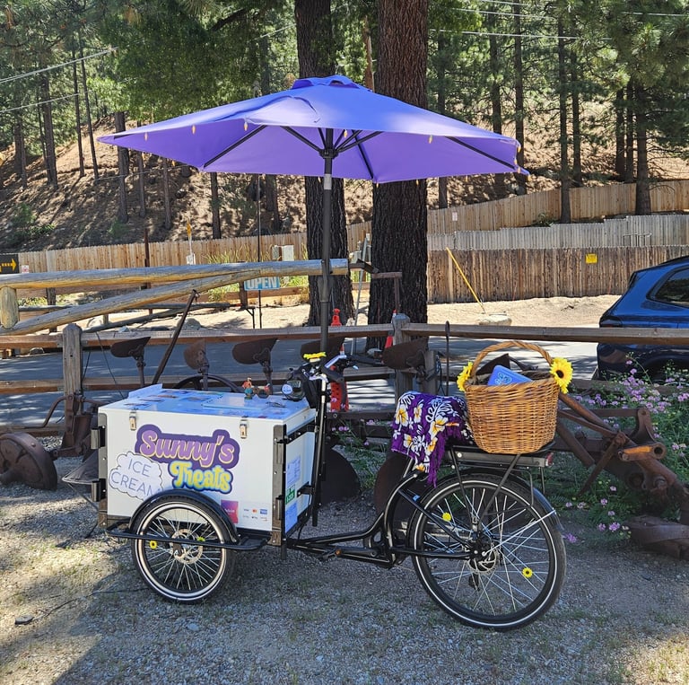 The E Tricycle ready for ice cream customers by the Tunnel Creek Cafe