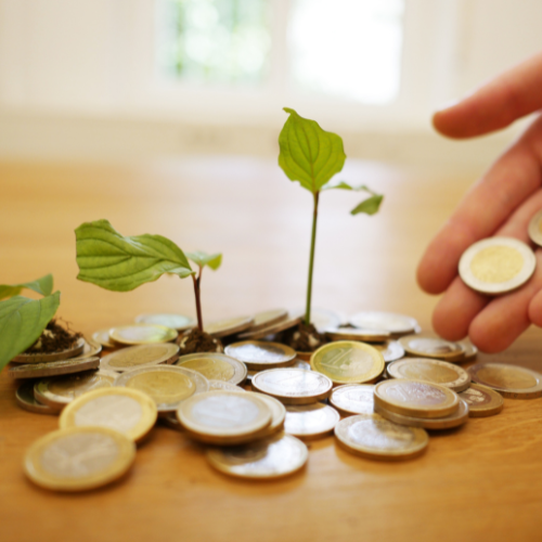 Economia consciente ahorro libertad financiera