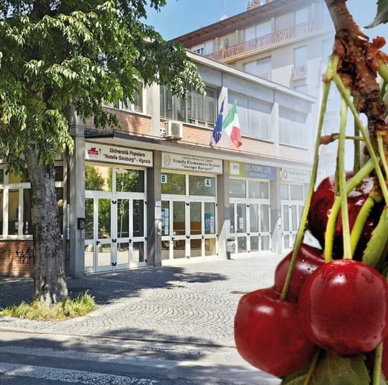 a bunch of cherries hanging from a tree