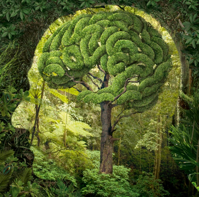 Tree shaped like a brain