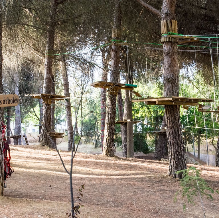 Circuito de árboles