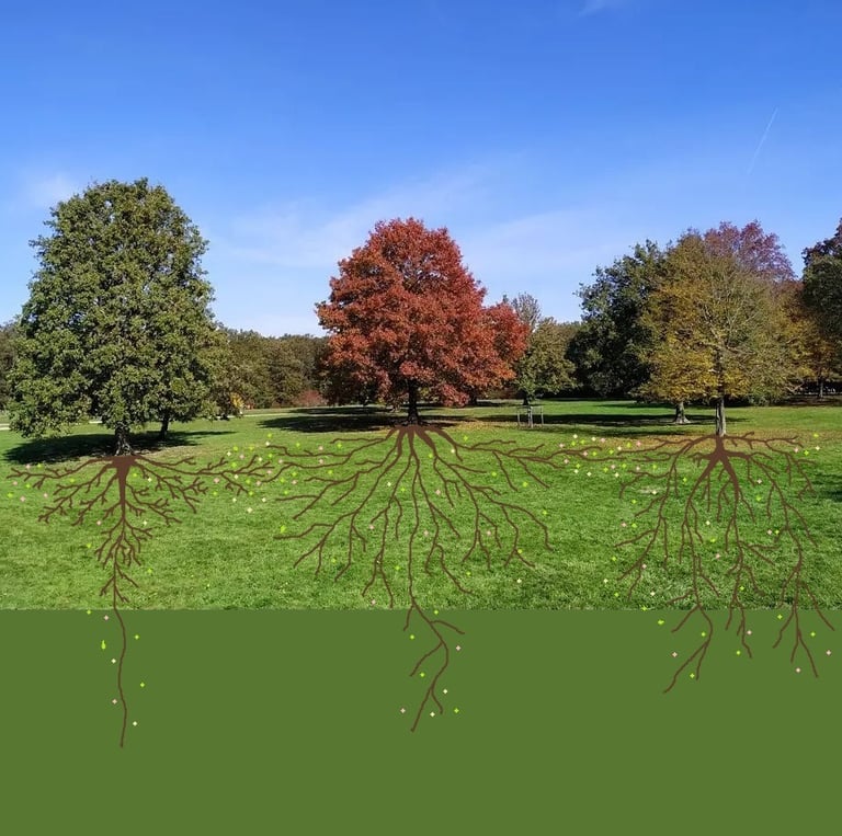 cette image montre les relations qui existent entre les êtres vivants et l'indispensable coopération nécessaire à la vie