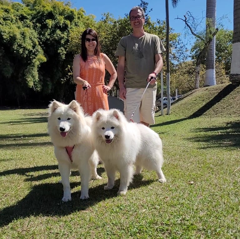 a man and woman walking with two dogs