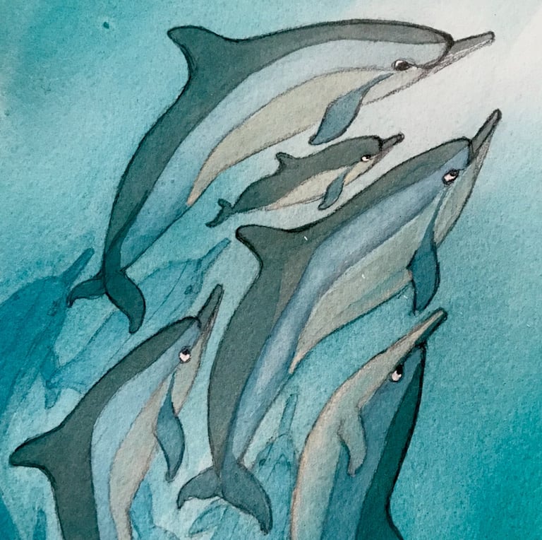 Hawaiian spinner dolphins or naia by Erzsi Palko
