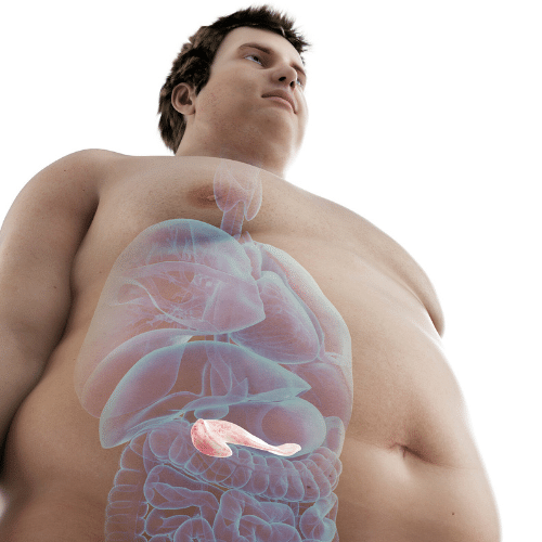 hormones perte de poids prise de poids