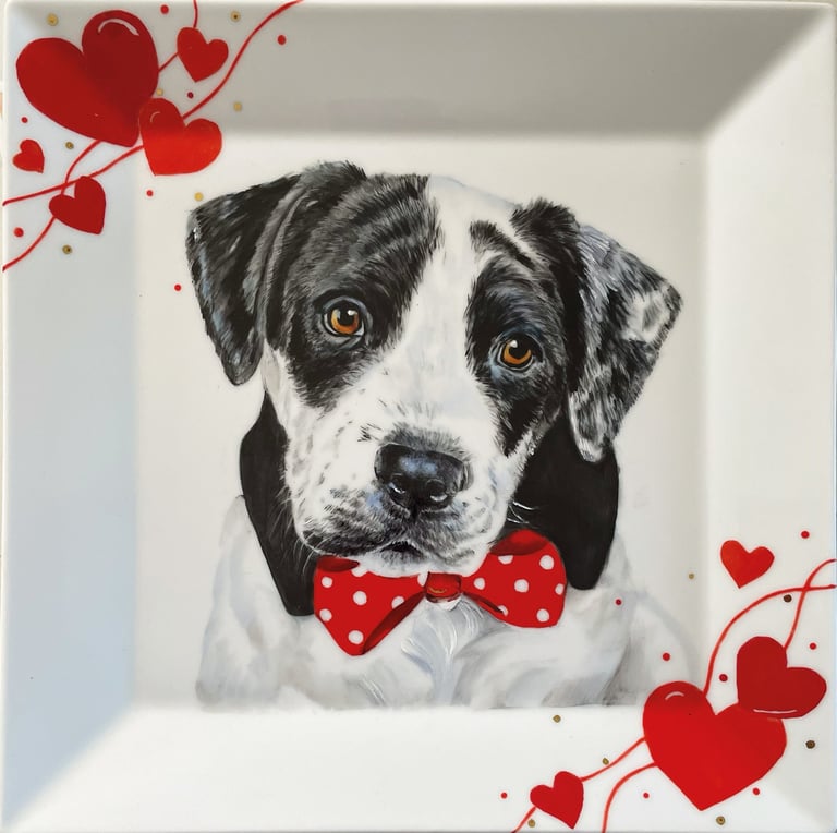 Cane dipinto su porcellana 