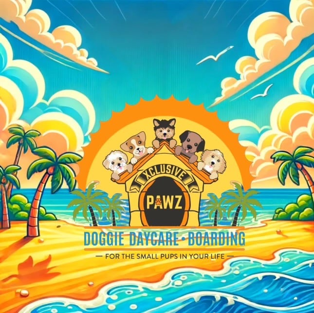 a bunch of dogs at dog daycare on the beach