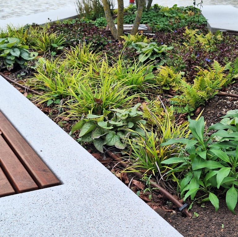 ornamental plants planted in a garden bed with no weeds