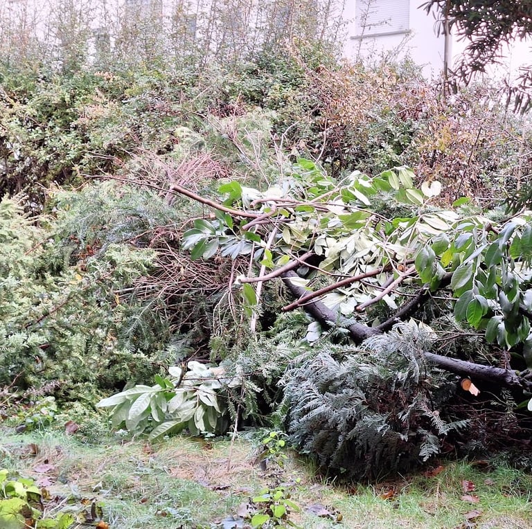 compost materials which need to be decomposed