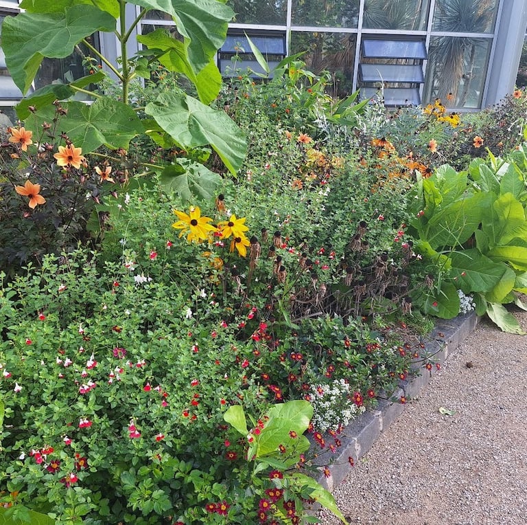 a beautiful border with a lot of different plants and flowers